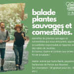 Balade plantes sauvages et comestibles