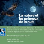 LPO Balade Nocture "La Nature et les animaux de la nuit"