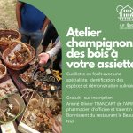 Atelier champignons : des bois à votre assiette !