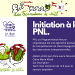 Formation de Noel pour le secours populaire : Initiation à la PNL