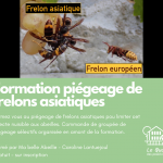 Formation Piégeage Frelons asiatiques