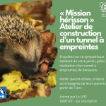 LPO « Mission hérisson » Atelier de construction d’un tunnel à empreintes