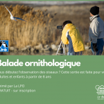 LPO les apprentis ornithologues en balade