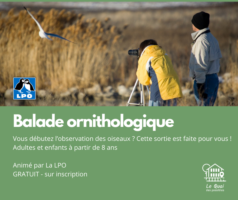 LPO les apprentis ornithologues en balade