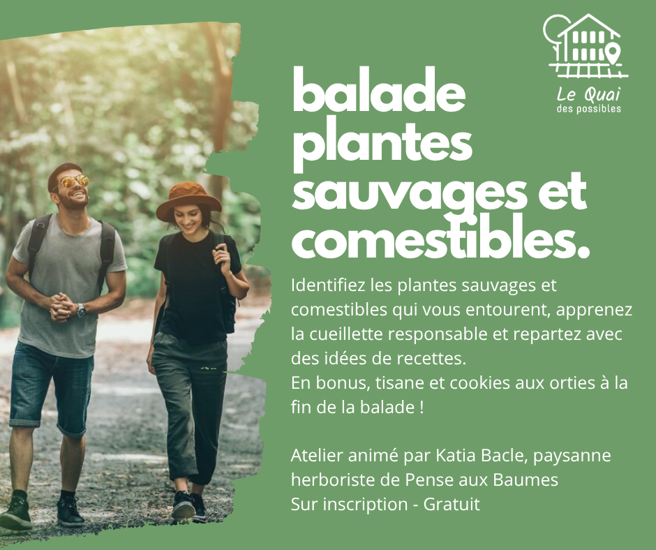 Balade plantes sauvages et comestibles
