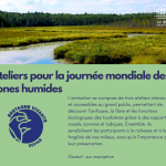 Ateliers pour la journée mondiale des zones humides