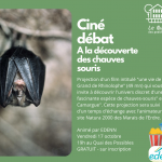 Ciné débat EDENN : A la découverte des chauves souris
