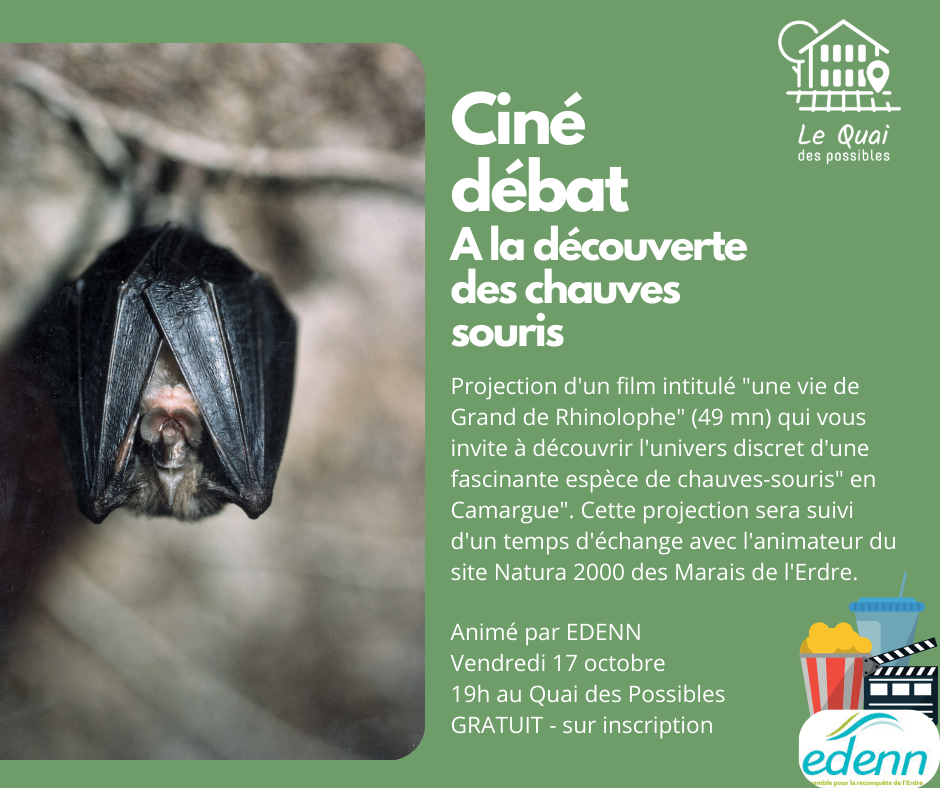 Ciné débat EDENN : A la découverte des chauves souris