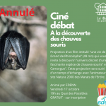 Annulé // Ciné débat EDENN : A la découverte des chauves souris