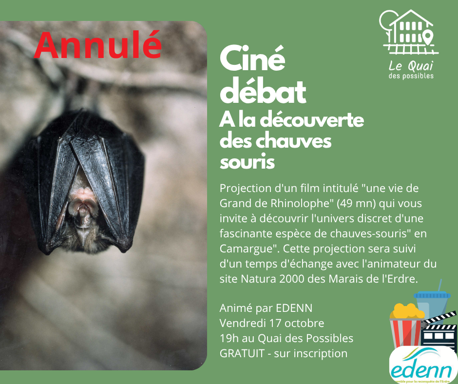 Annulé // Ciné débat EDENN : A la découverte des chauves souris