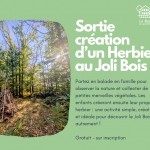 Atelier Nature au Joli Bois : Création d’un Herbier 
