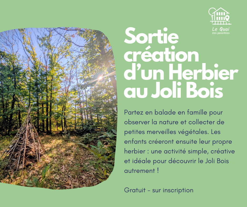 Atelier Nature au Joli Bois : Création d’un Herbier 