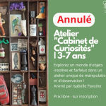 Annulé  Atelier |"Cabinet de Curiosités" | 3-7 ans